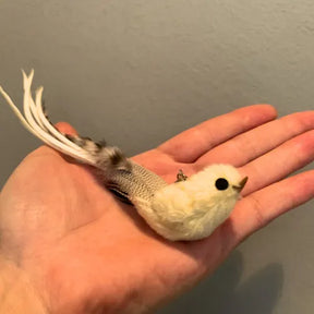 Brinquedo Isca Realista Pássaro Branco para Varinhas