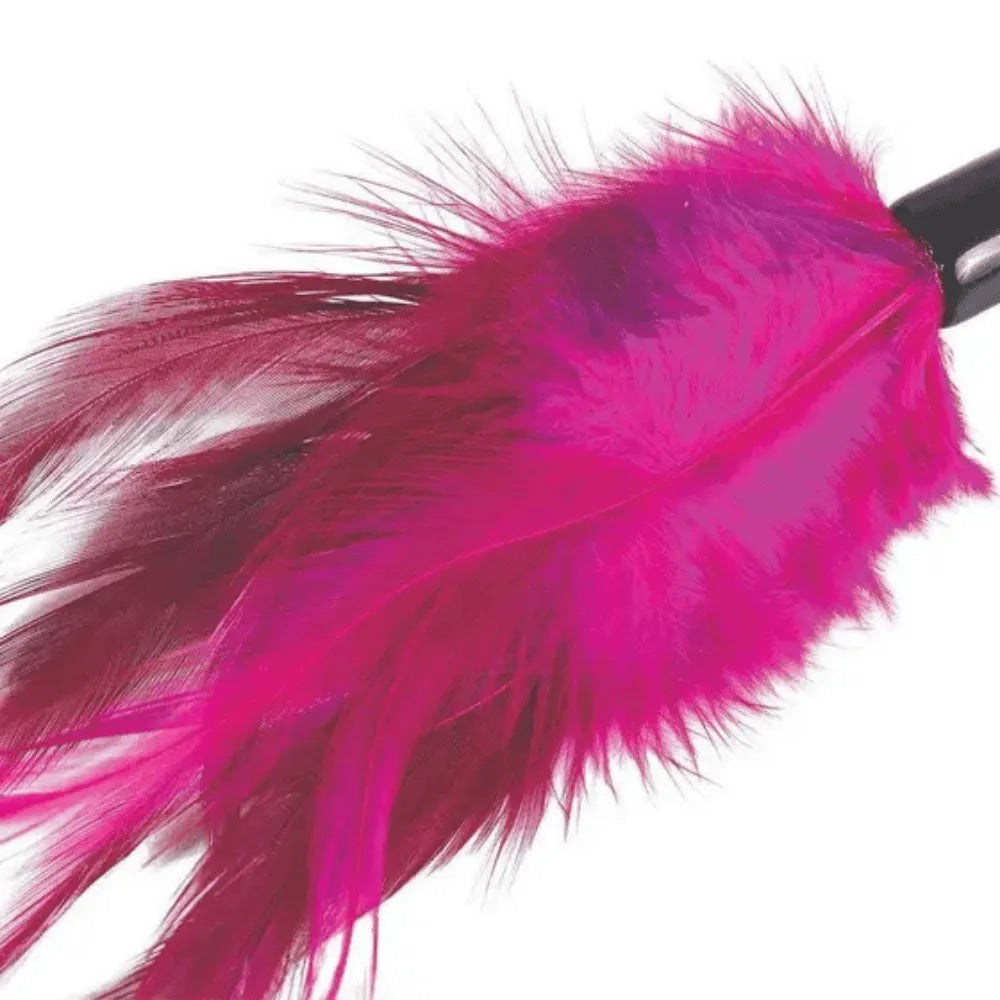 Brinquedo Varinha Jambo Com Pena Rosa