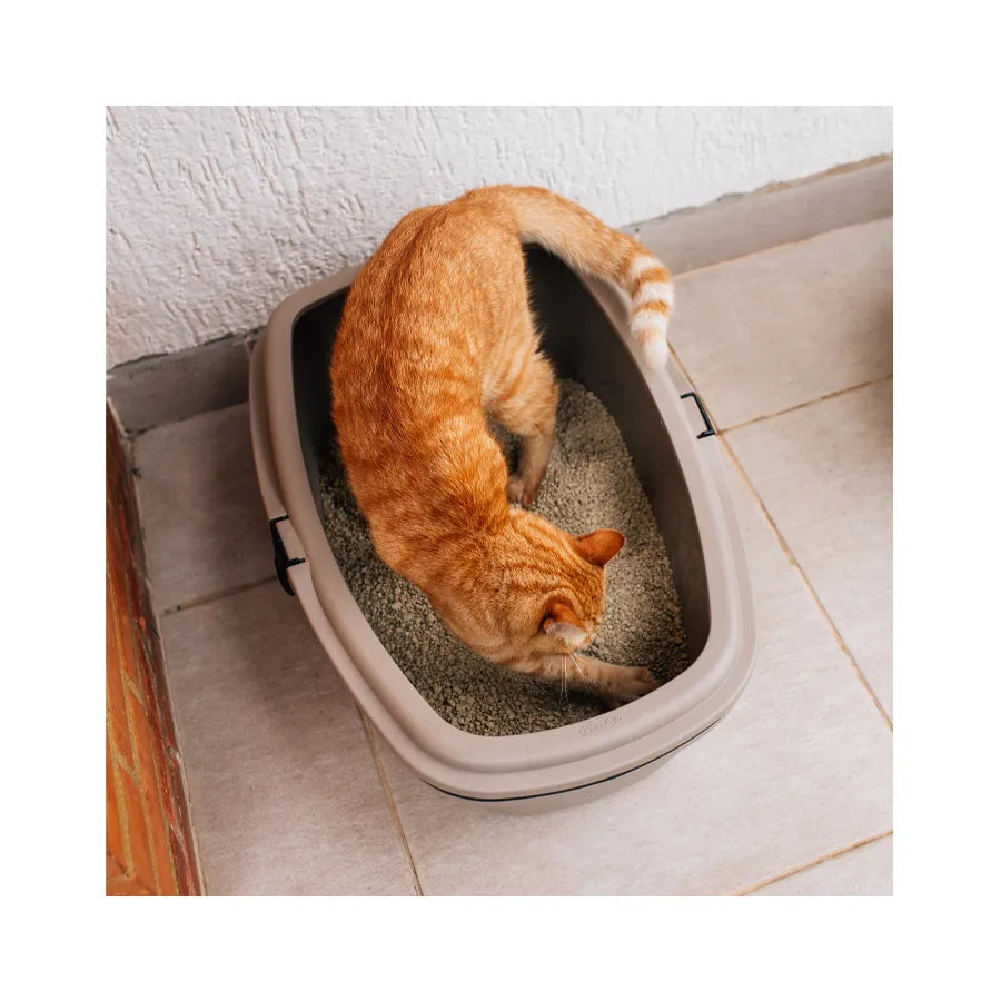 Caixa de Areia Sanitário Furba Média - 3 Pcs