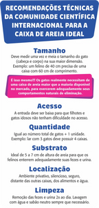 Caixona de Areia Sanitário Pet Games