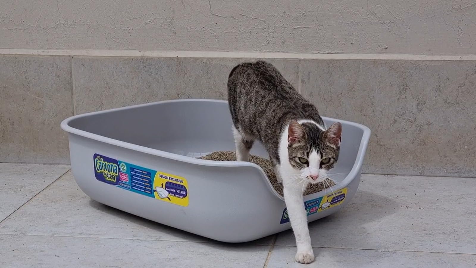 Caixona de Areia Sanitário Pet Games