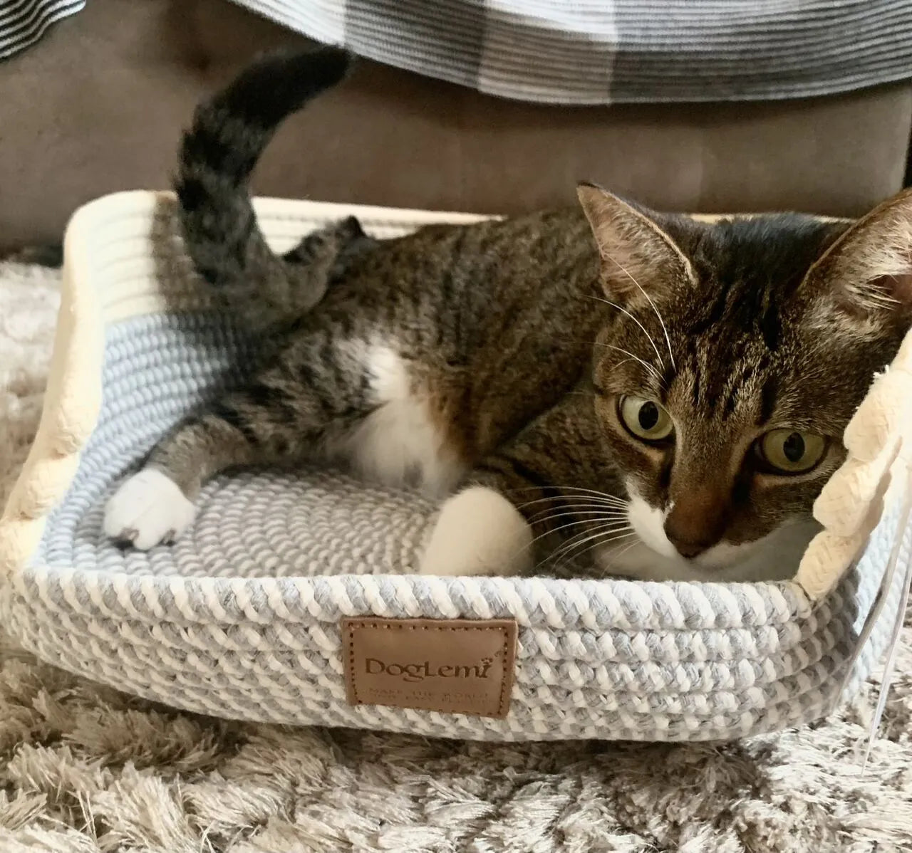 Cama Cesto Confortável Moderna 100% Algodão para Gatos