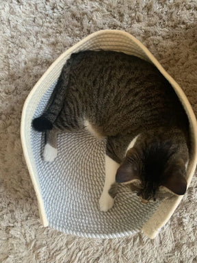 Cama Cesto Confortável Moderna 100% Algodão para Gatos