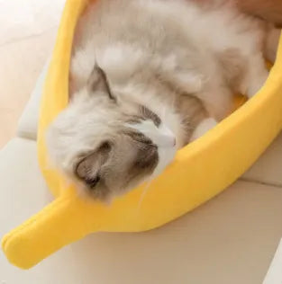 Cama de Banana Divertida