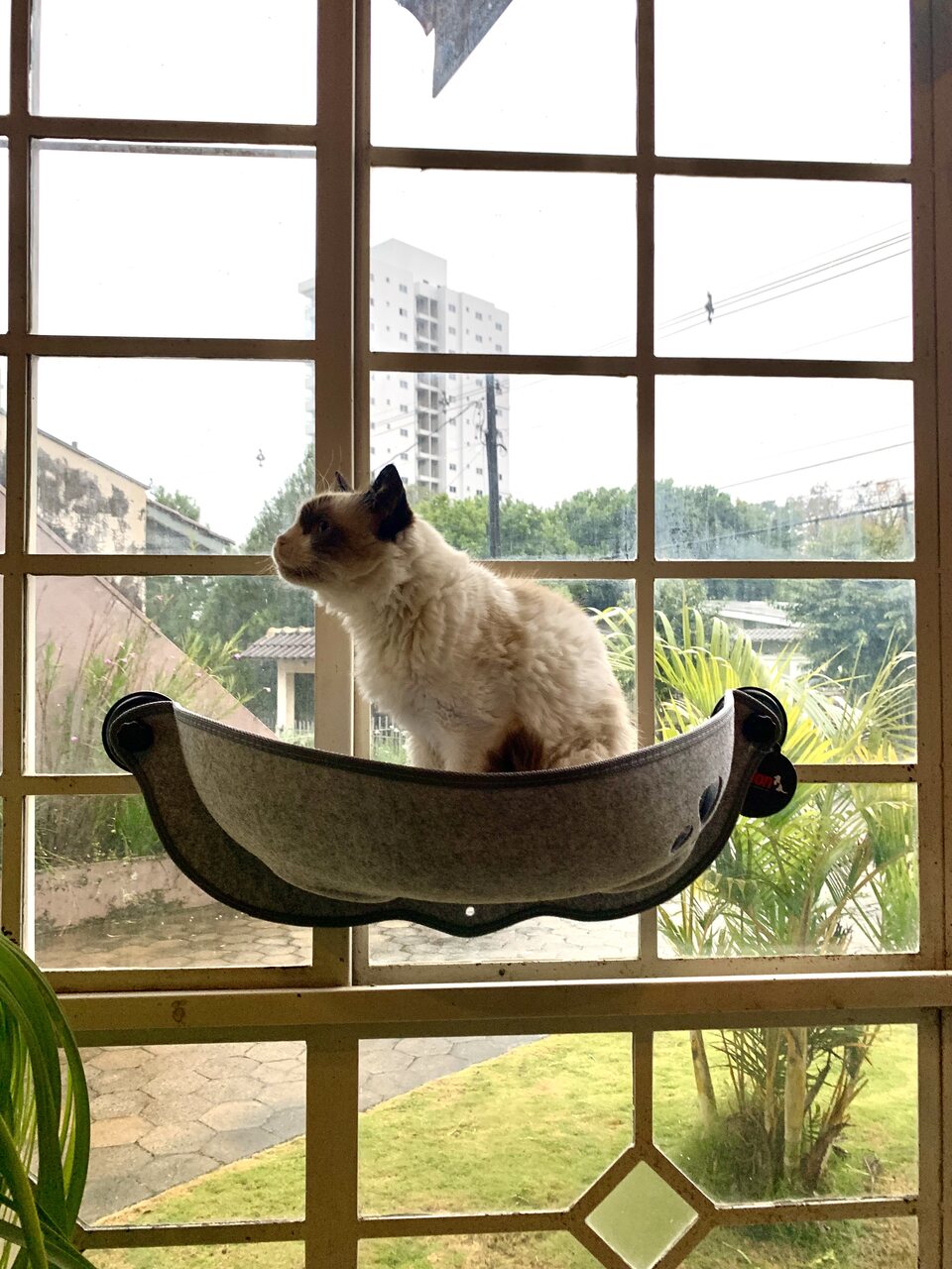 Cama Suspensa de Janela Ninho