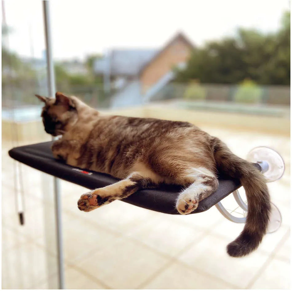 Cama Suspensa de Janela Petlon para Gatos