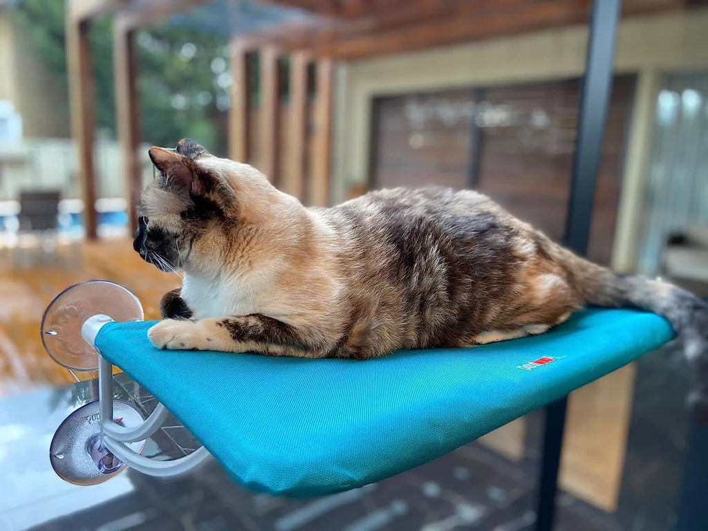 Cama Suspensa de Janela Petlon para Gatos