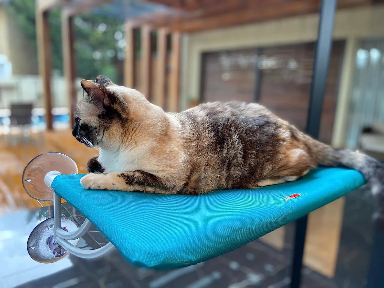 Cama Suspensa de Janela Petlon para Gatos