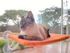 Cama Suspensa de Janela Petlon para Gatos