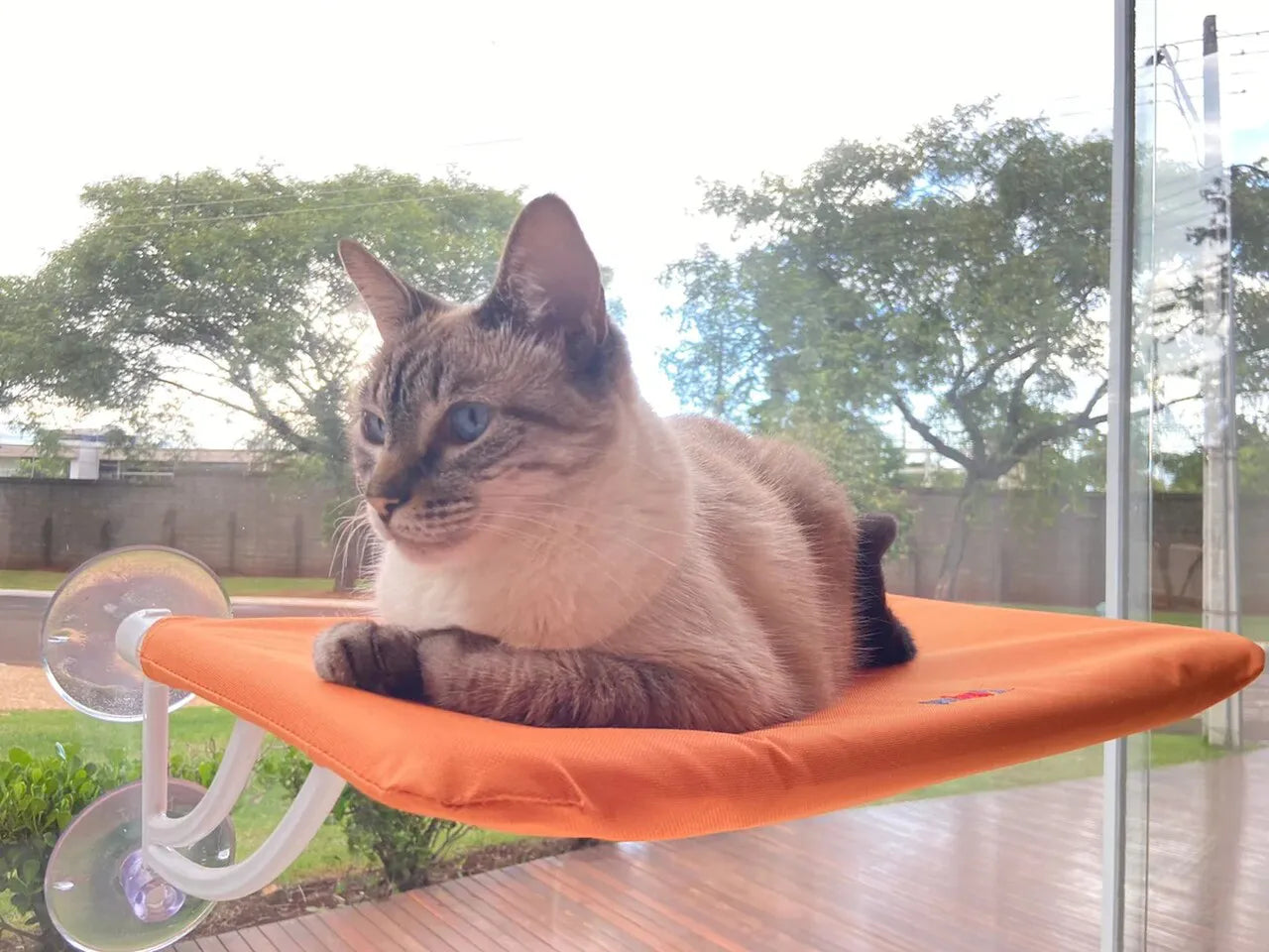 Cama Suspensa de Janela Petlon para Gatos