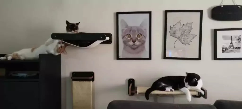 Cama Rede de Parede Bastet