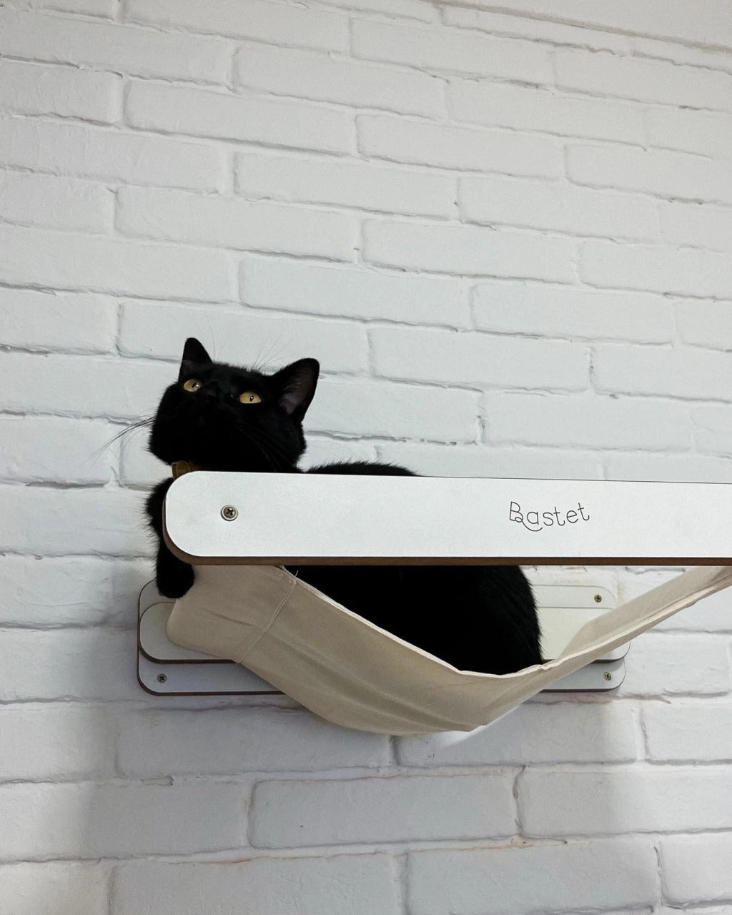 Cama Rede de Parede Bastet