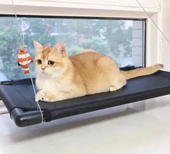 Cama Suspensa de Janela - Super Espaçosa