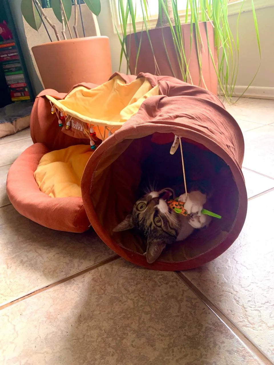 Cama Túnel Divertida com Brinquedo