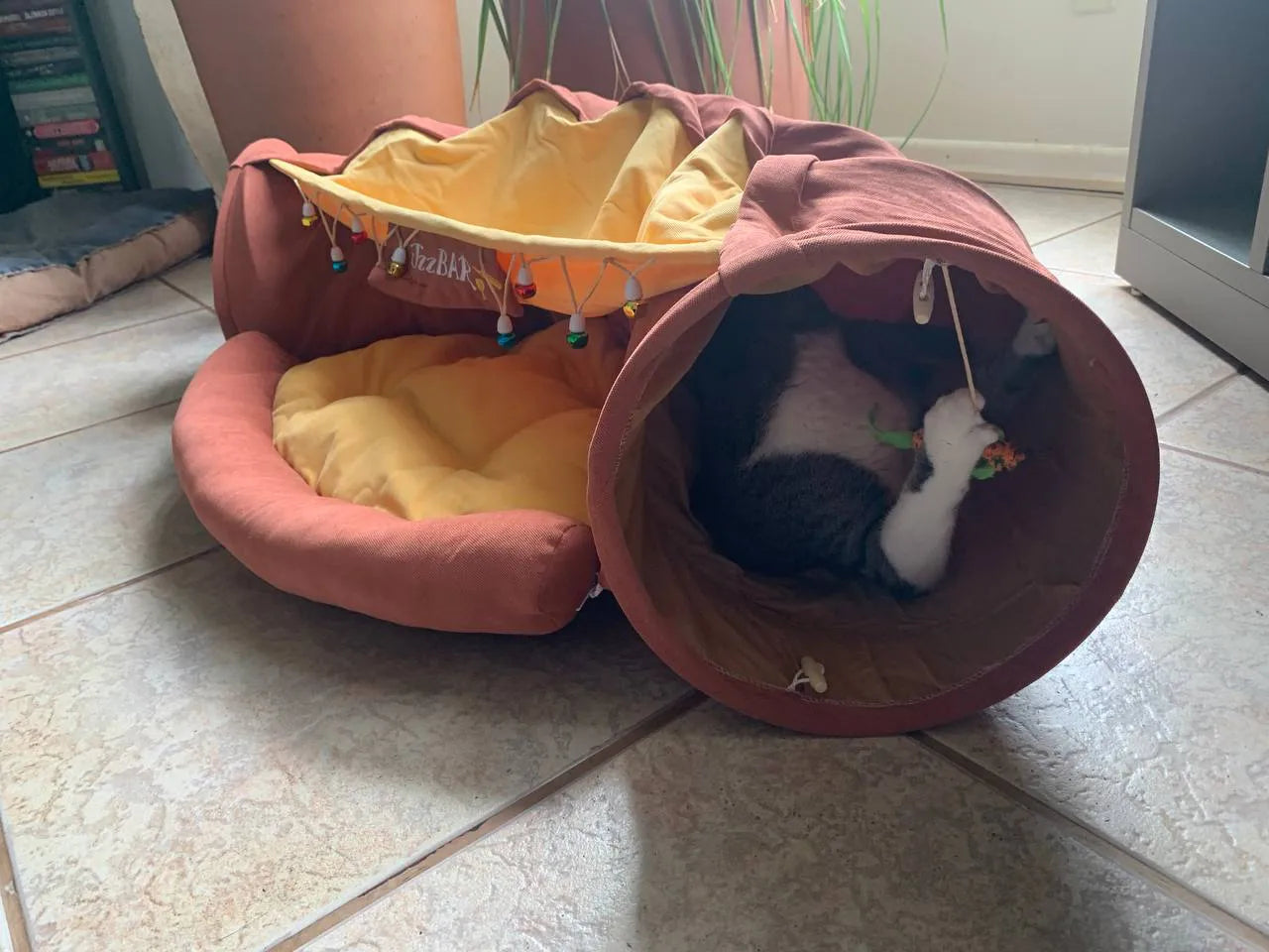 Cama Túnel Divertida com Brinquedo