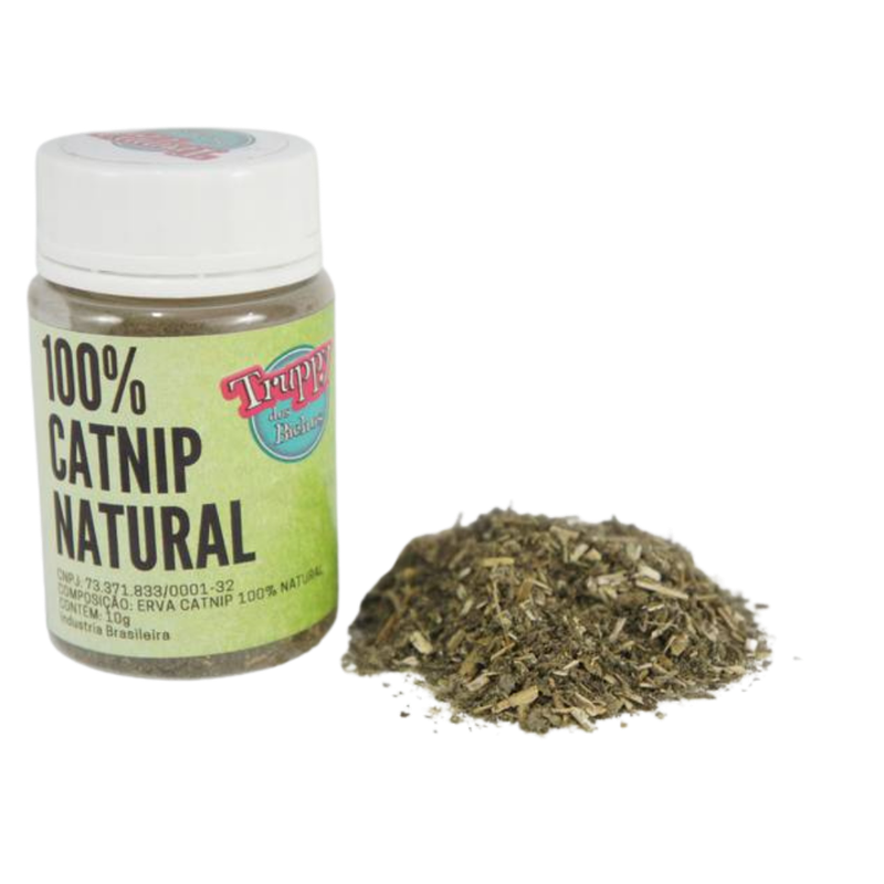 Catnip 100% Natural ALTA Qualidade 11g