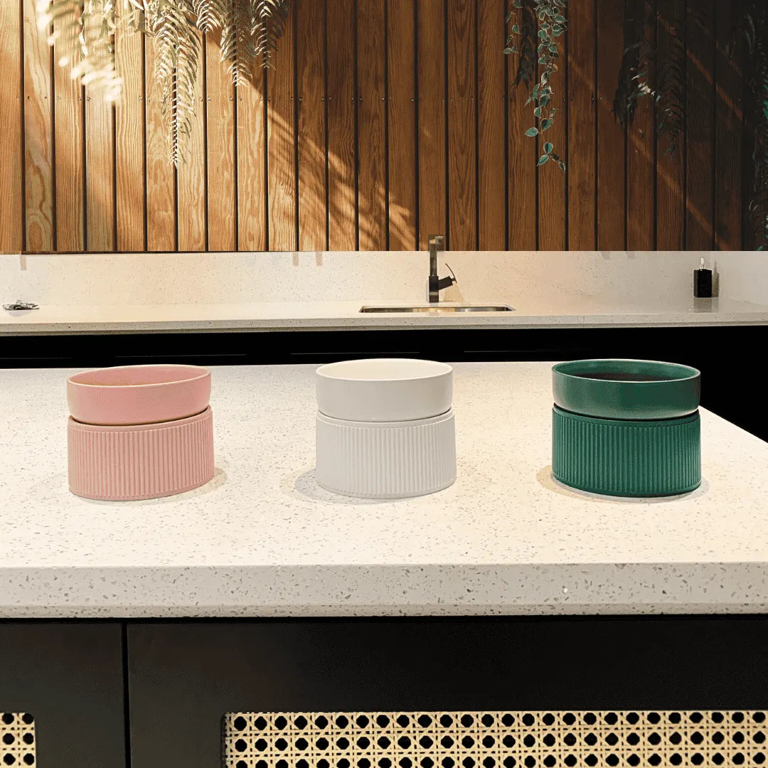 Comedouro/Bebedouro Elevado Cerâmica com Base Regulável - 3 Cores