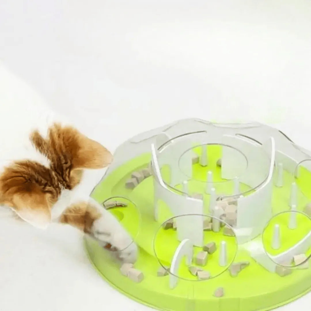 Comedouro Lento Labirinto Enriquecimento Alimentar Gatos