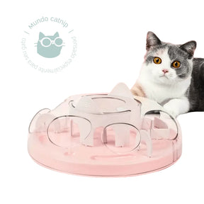 Comedouro Lento Labirinto Enriquecimento Alimentar Gatos