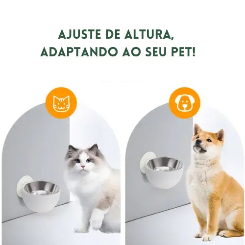 Comedouro Magnético Aço Inoxidável de Parede