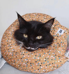 Cone Rosca Aconchego para Gatos Colar Recuperação - Tamanho PP