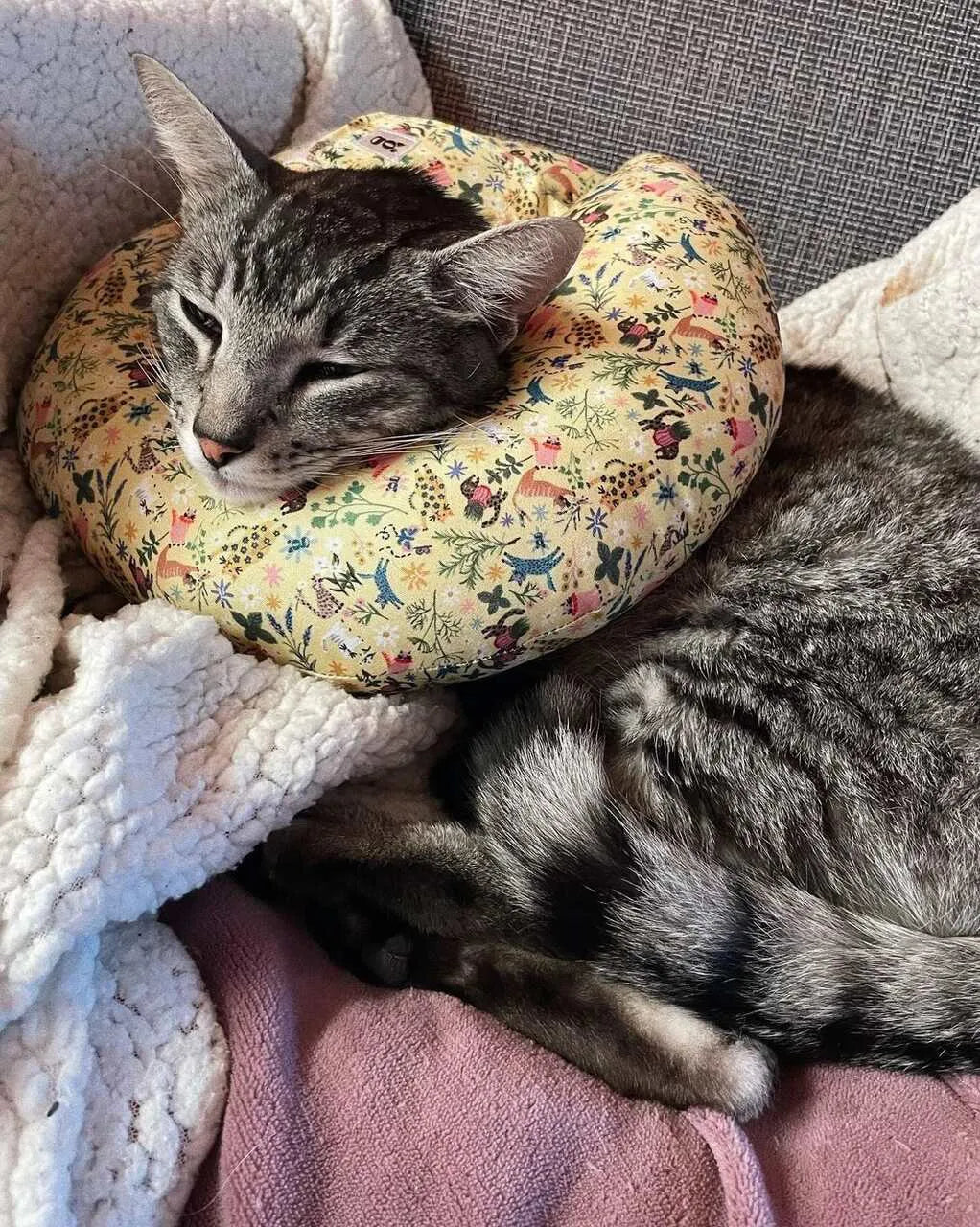 Cone Rosca Aconchego para Gatos Colar Recuperação - Tamanho PP