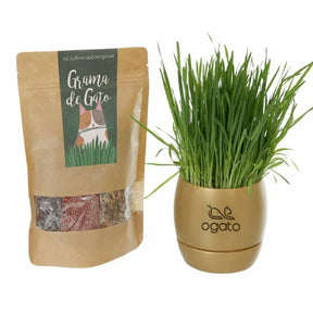 Vaso Autoirrigável de Graminhas para Gatos