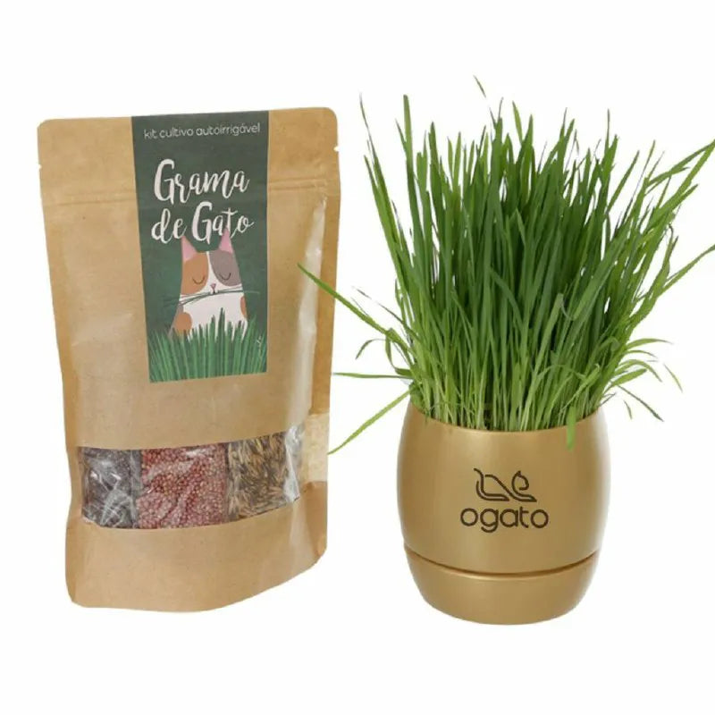Vaso Autoirrigável de Graminhas para Gatos