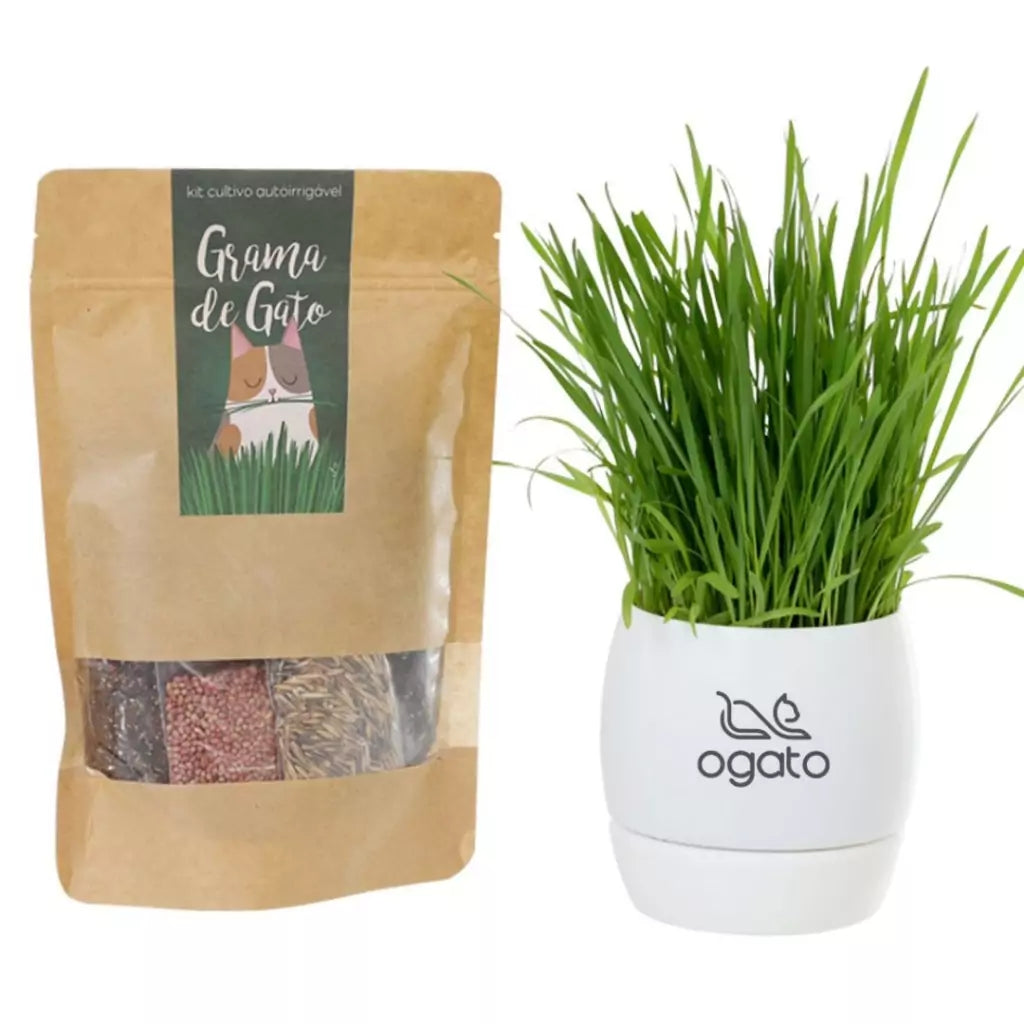 Vaso Autoirrigável de Graminhas para Gatos
