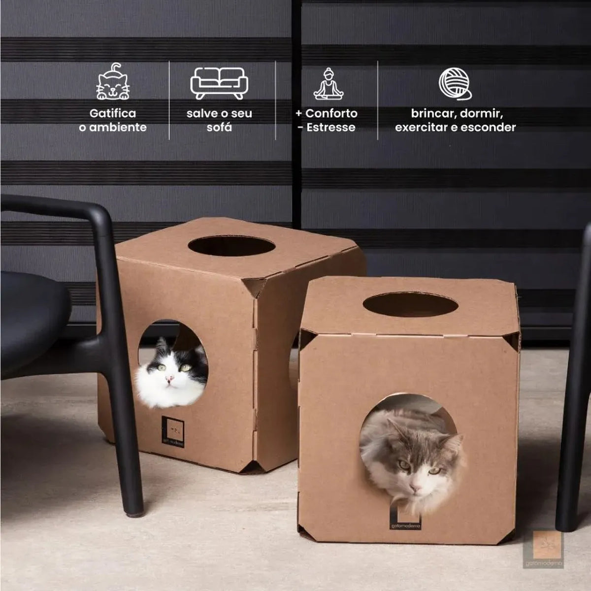 Toca Labirinto Cubo - Kit 2 Cubos
