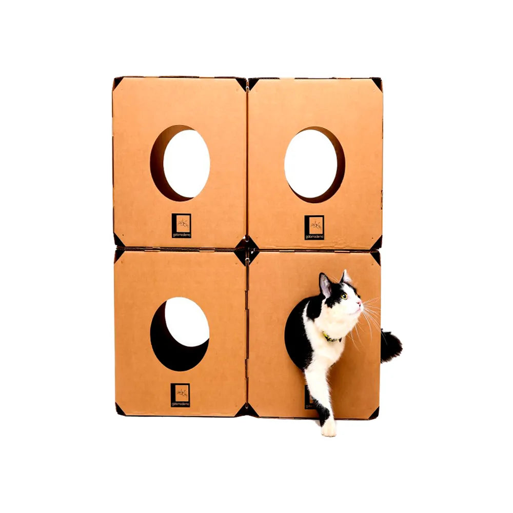 Toca Labirinto Cubo - Kit 4 Cubos