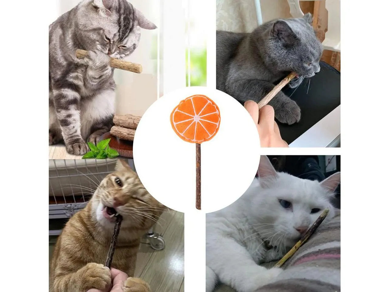 Brinquedo Pirulito de Matatabi com Pelúcia de Frutas