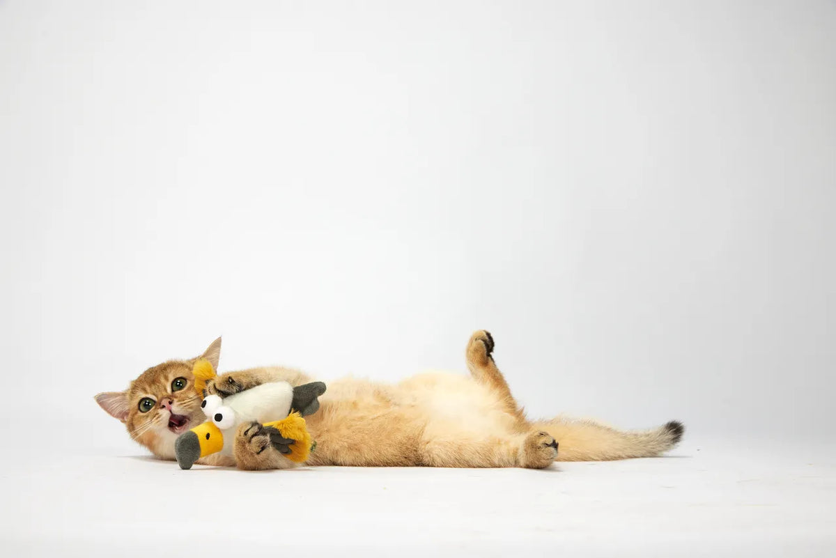 Brinquedo Pelúcia com Som de Águia e Bolinhas de Catnip