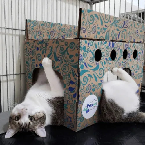 Toca Cat Safe Resistente