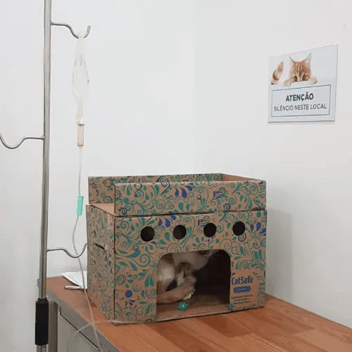 Toca Cat Safe Resistente